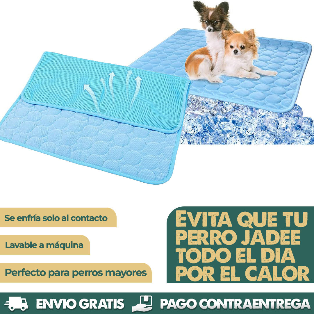FrostyPaws | Alivio instantáneo para tu perro