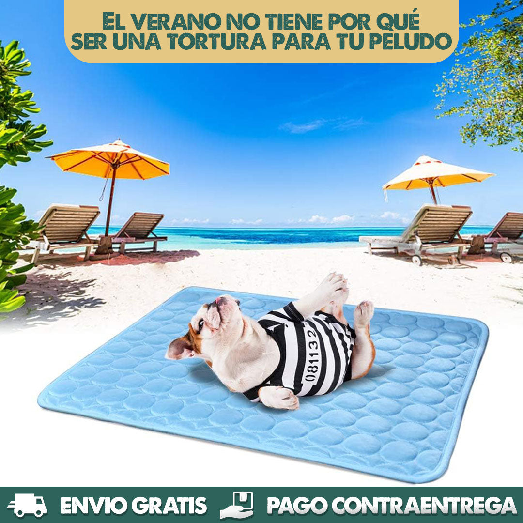 FrostyPaws | Alivio instantáneo para tu perro