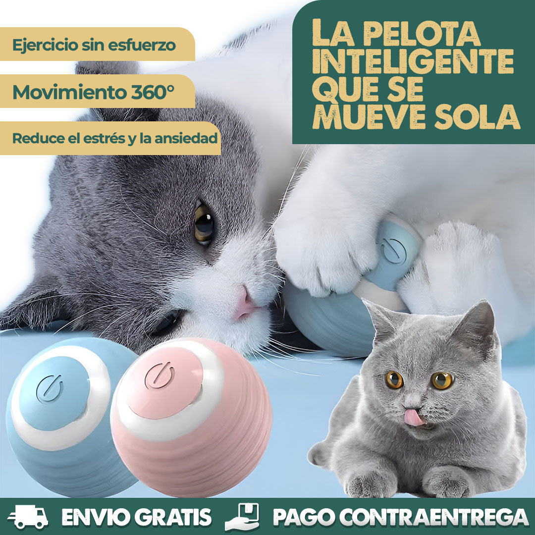 PlayPaw Ball – Diversión sin fin para tu mascota