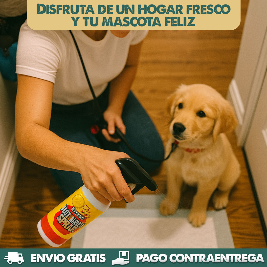 Not There Spray | Entrena a tu perro y cuida tu hogar