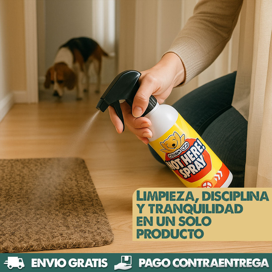 Not There Spray | Entrena a tu perro y cuida tu hogar