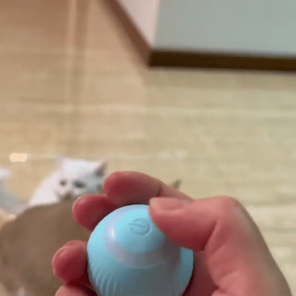 PlayPaw Ball – Diversión sin fin para tu mascota