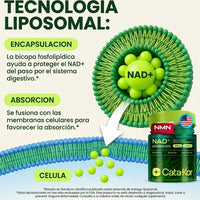 NAD+ Liposomal con Resveratrol: Rejuvenece Tu Energía y Apariencia x60 capsulas - 6