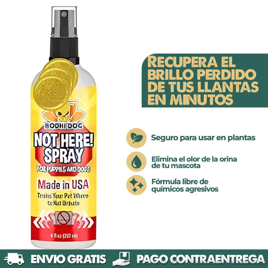 Not There Spray | Entrena a tu perro y cuida tu hogar