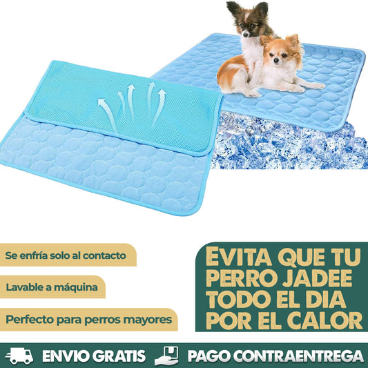 FrostyPaws | Alivio instantáneo para tu perro
