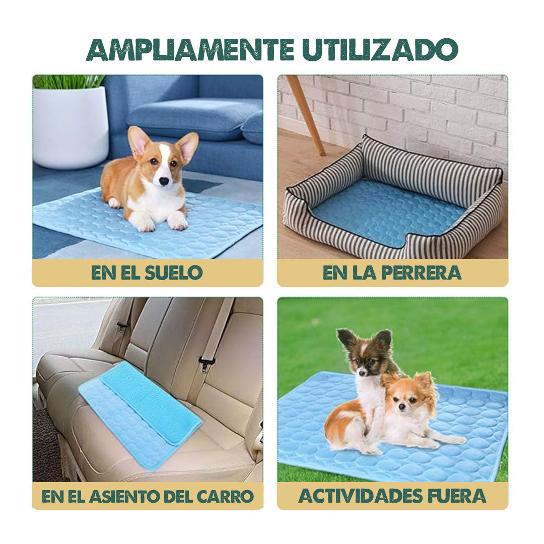 FrostyPaws | Alivio instantáneo para tu perro