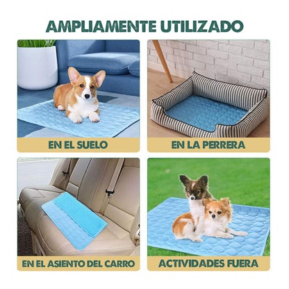 FrostyPaws | Alivio instantáneo para tu perro